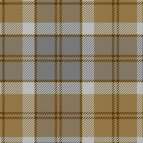 LT/4 T4 LT30 LN20 T4 N30 T4 N/4 tartan Tartan detail