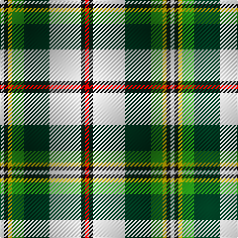 LN/4 K4 Y4 G12 DG26 LN32 K4 R/4 tartan Tartan detail