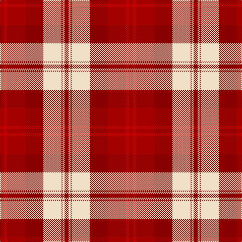 DR/8 R6 DR36 DRa36 W36 DRa2 W4 DRa/8 tartan Tartan detail