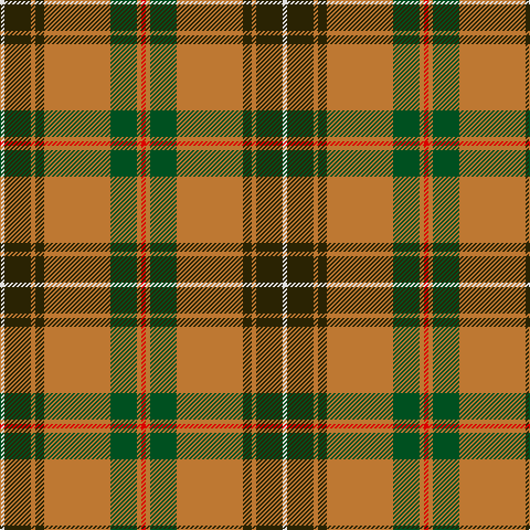 LN/4 K24 DO4 K8 DO60 G24 DO4 R/4 tartan Tartan detail