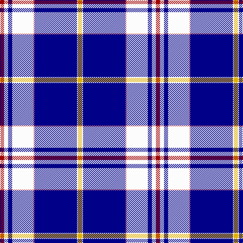 DR/8 W8 DB8 W42 LR2 DB84 W2 Y/8 tartan Tartan detail