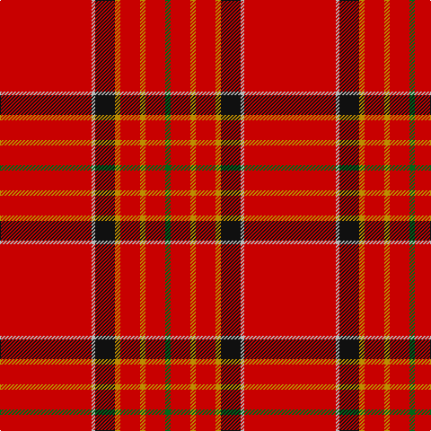 G/6 R22 DY6 R22 DY6 K22 N4 R/102 tartan Tartan detail
