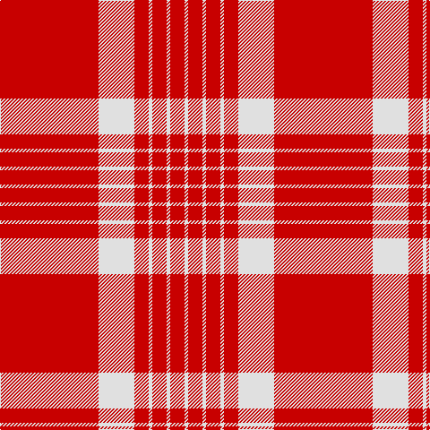 R/110 LN40 R16 LN4 R16 LN4 R16 LN/4 tartan Tartan detail