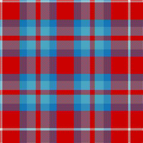 LN/8 R58 B24 Ba30 R16 Ba30 B24 R/58 tartan Tartan detail