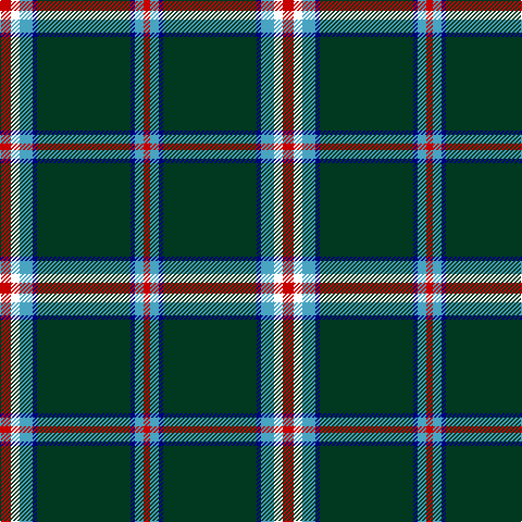 R/10 W8 B12 DB4 DG86 DB4 B8 R/6 tartan Tartan detail