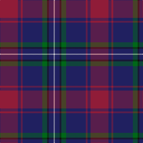 DR/60 DB10 DR6 DB66 G16 K6 DB16 LN/4 tartan Tartan detail
