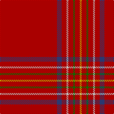 R/120 B10 R10 LN4 R10 G4 R10 Y/4 tartan Tartan detail