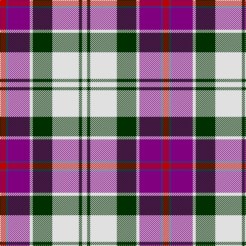 R/12 B4 P42 LN6 DG38 LN52 DG6 LN/10 tartan Tartan detail