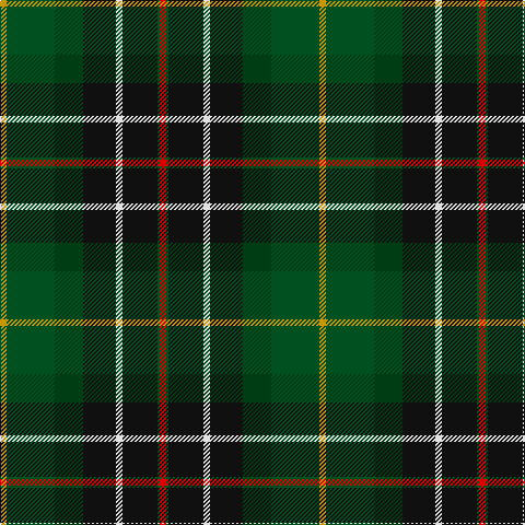 DY/6 G44 DG26 K30 LN6 K32 G2 R/6 tartan Tartan detail