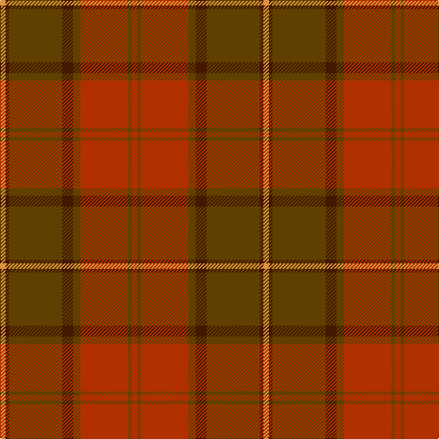O/6 DR4 T58 DR12 Ta8 R52 Ta4 R/6 tartan Tartan detail