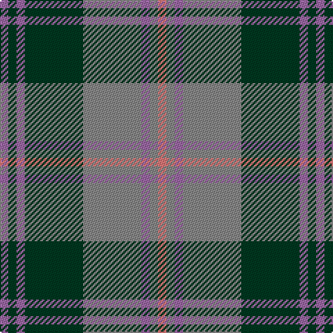LP/6 DG6 LP6 DG42 N42 LP6 N6 LR/6 tartan Tartan detail