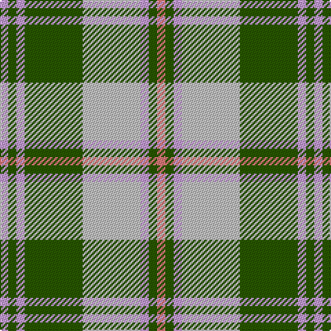 LP/6 G6 LP6 G42 N42 LP6 G6 LR/6 tartan Tartan detail