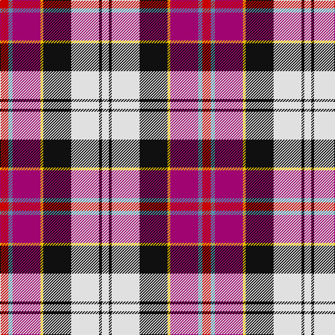 Ra/12 B6 R40 Y4 K40 LN40 K4 LN/10 tartan Tartan detail