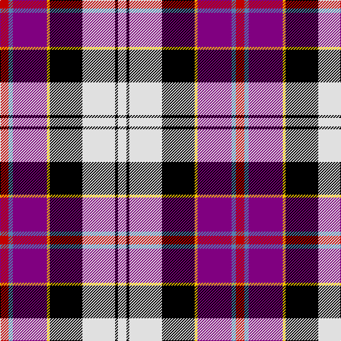 R/12 B6 P48 Y4 K46 LN46 K4 LN/12 tartan Tartan detail