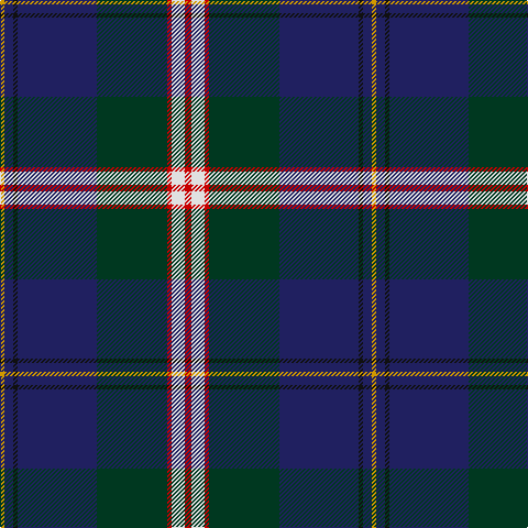 DY/4 DB8 K4 DB72 DG64 R4 LN12 R/6 tartan Tartan detail