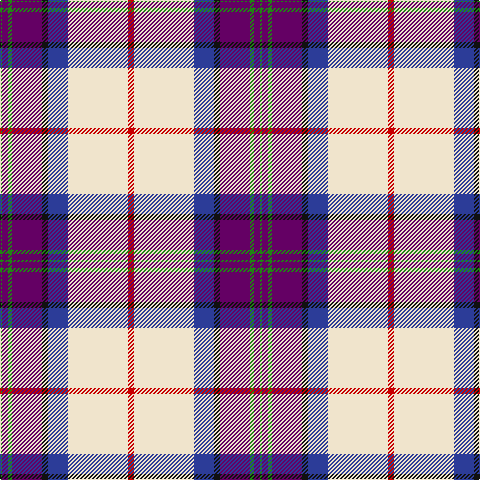 G/2 P6 G4 P30 K6 B20 W60 R/6 tartan Tartan detail