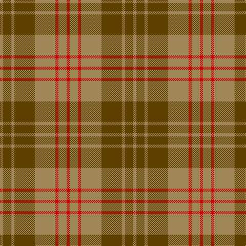 LT/6 T16 LT6 T40 LT40 R6 LT16 R/6 tartan Tartan detail