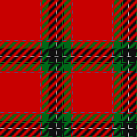 R/140 B2 R4 G24 K4 G2 K20 LN/2 tartan Tartan detail