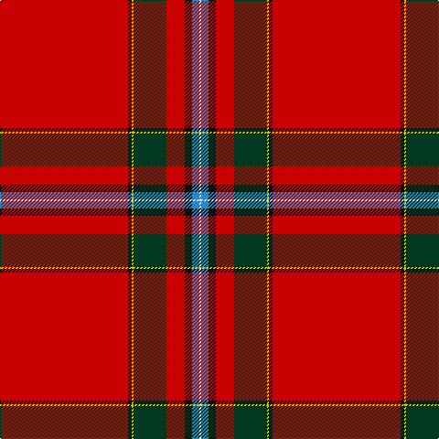 R/140 K4 Y2 DG36 R20 K8 B8 LN/2 tartan Tartan detail