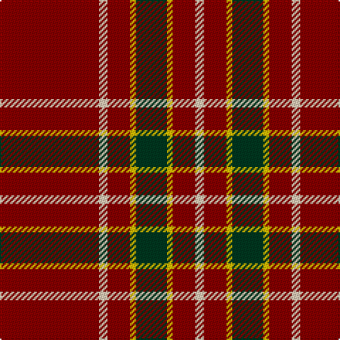 DR/70 LR6 DR16 Y4 DG22 Y4 DR16 LR/6 tartan Tartan detail