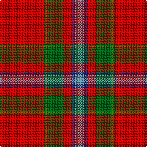 R/72 G3 Y2 G26 R14 DB6 B6 LN/2 tartan Tartan detail