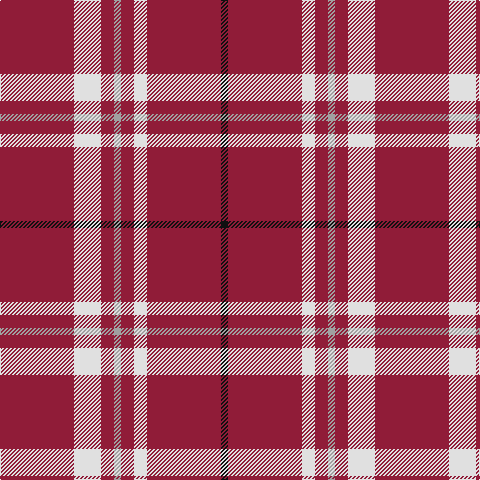 DR/74 LN27 DR13 N7 DR13 LN13 DR74 K/7 tartan Tartan detail