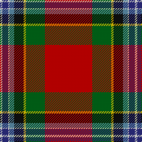 LN/4 DB10 LN2 B8 K16 Y4 G32 R/80 tartan Tartan detail