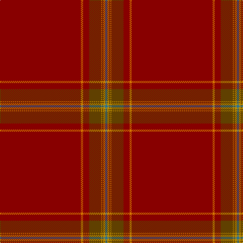 DR/160 O4 DR12 T24 DY2 T2 DY4 B/4 tartan Tartan detail
