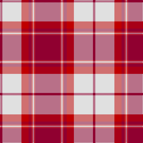 DR/8 LN64 Ra24 DR10 R4 LN4 R4 DR/84 tartan Tartan detail
