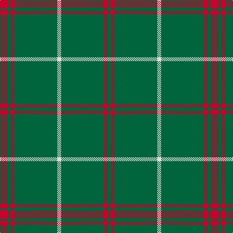 R/16 G6 R8 G88 LN8 G88 R8 G/6 tartan Tartan detail