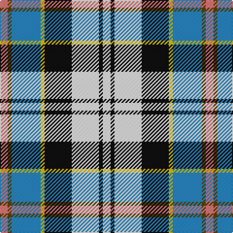 LR/8 T4 B30 Y4 K28 W28 K4 W/8 tartan Tartan detail
