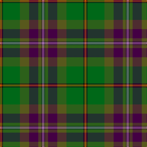 DO/6 K4 G55 Gb30 DP30 Gb10 K2 LP/8 tartan Tartan detail