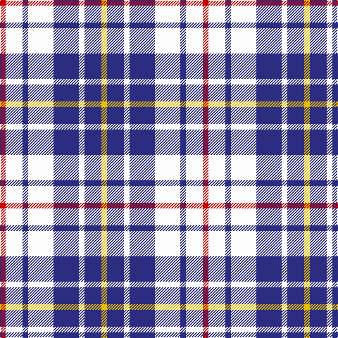 R/8 W24 DB8 W36 DB36 W8 DB24 Y/8 tartan Tartan detail