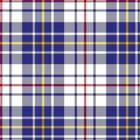 R/8 W24 DB8 W36 DB36 W8 DB24 Y/8 tartan Tartan detail