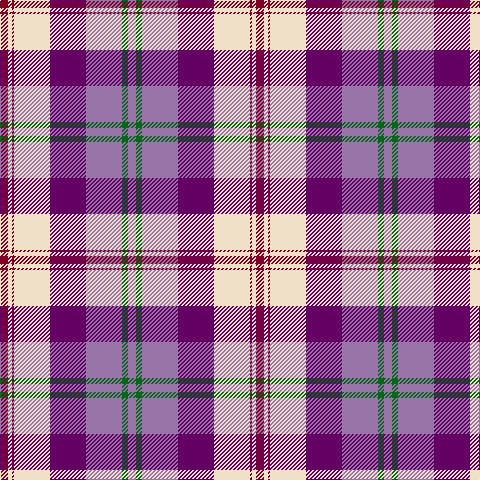 DR/8 W4 DR2 W36 P36 LP36 G6 LP/8 tartan Tartan detail