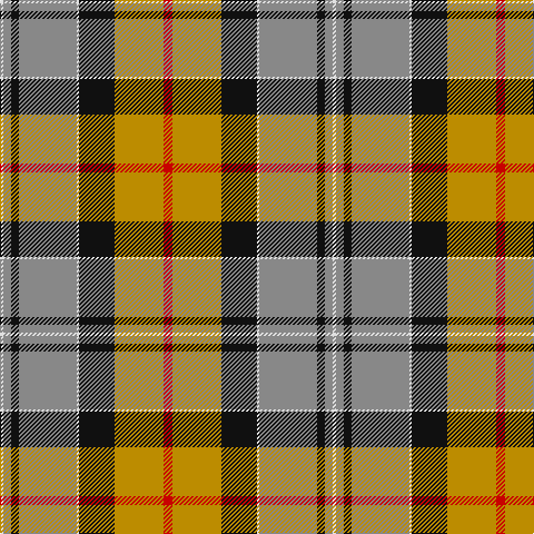LN/3 N7 K7 N52 LN2 K32 DY44 R/8 tartan Tartan detail