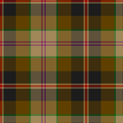 DR/8 LT6 K48 T52 G6 LT42 P4 LT/8 tartan Tartan detail