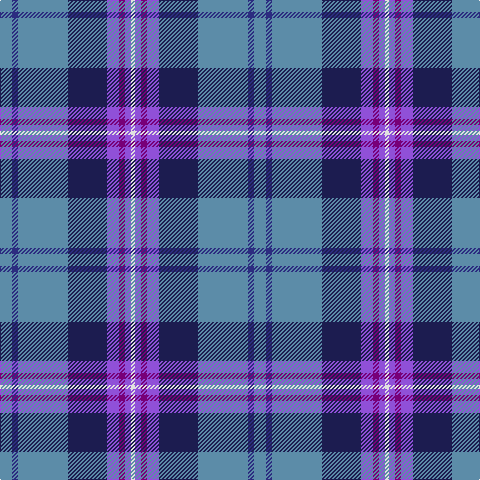 B/12 DB6 B50 DBa39 P12 Pa6 P6 LN/4 tartan Tartan detail