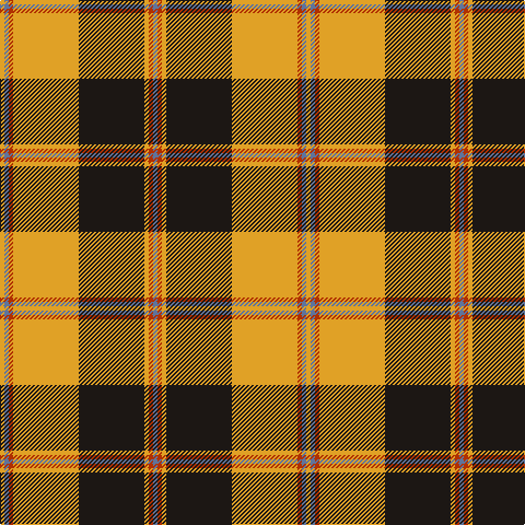 Y/4 B4 R4 Y60 K60 Y4 R4 B/4 tartan Tartan detail