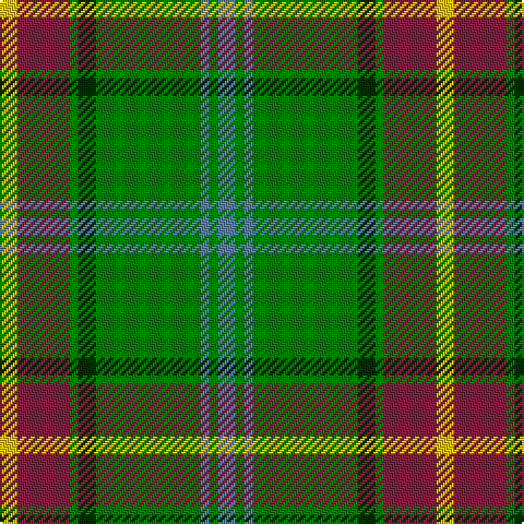 Y/8 DR24 G4 DG8 G48 B4 G4 B/8 tartan Tartan detail