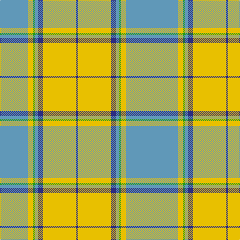 Ba/8 B48 Y10 G4 B6 DB10 Y66 DBa/4 tartan Tartan detail