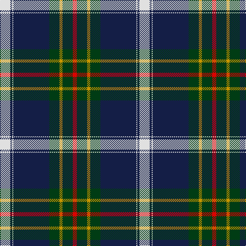 LN/20 DB4 LN2 DB70 DG20 DY6 DG20 R/8 tartan Tartan detail