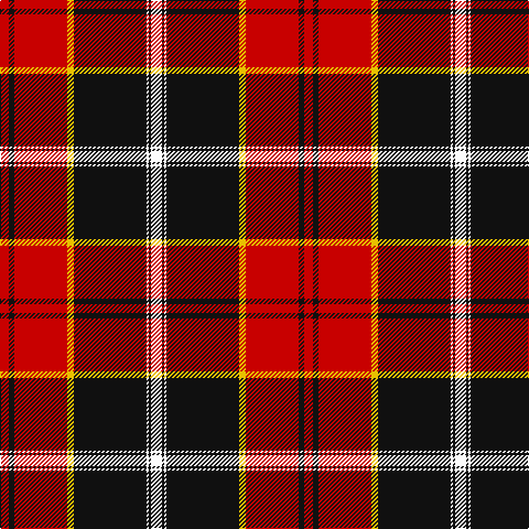 R/8 K5 R48 Y6 K66 W2 K2 W/10 tartan Tartan detail