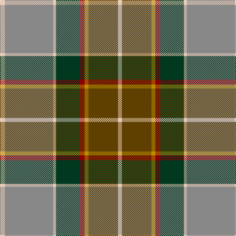 LR/10 N98 LR6 DG48 DR10 DY8 T60 LR/8 tartan Tartan detail
