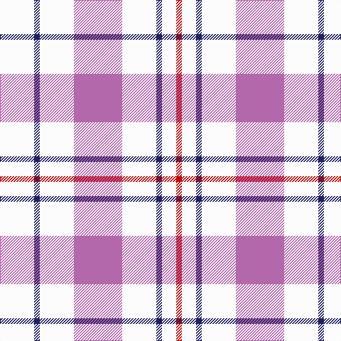 W/48 DB8 W48 P68 W48 DB8 W20 R/8 tartan Tartan detail