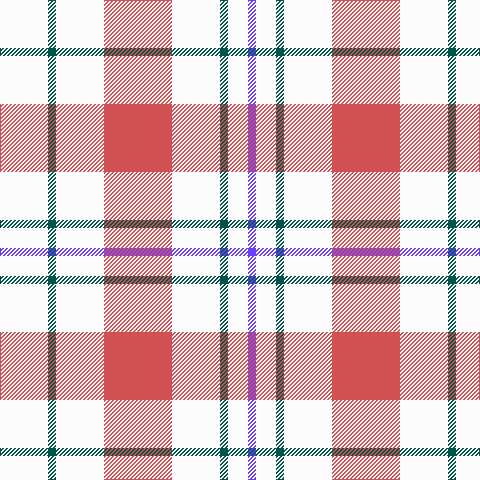 W/48 G8 W48 DO68 W48 G8 W20 P/8 tartan Tartan detail
