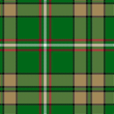 G/10 K8 LT48 K8 G90 DR10 G10 LN/12 tartan Tartan detail