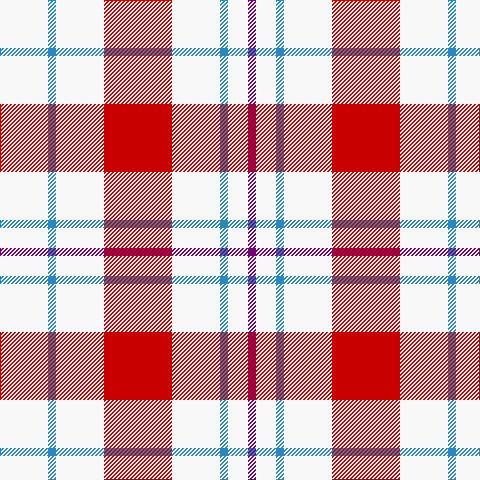 W/48 B8 W48 R68 W48 B8 W20 P/8 tartan Tartan detail