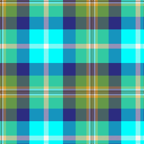 LR/2 T4 N6 Y8 LG36 DB42 LB48 W/16 tartan Tartan detail