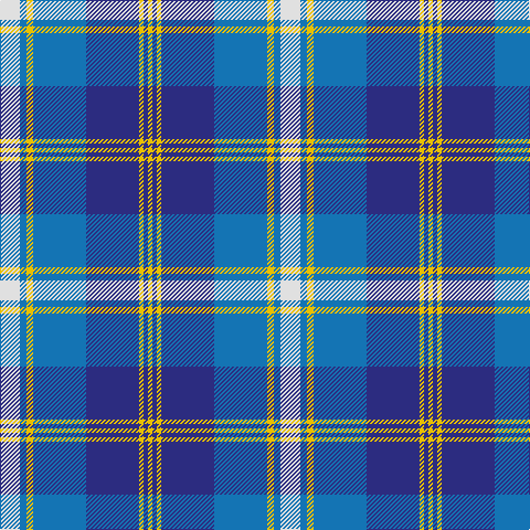 LN/18 B6 Y6 B48 DB48 Y4 DB4 Y/4 tartan Tartan detail